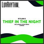 Artwork for "Thief In The Night"