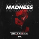 Artwork voor "Madness"
