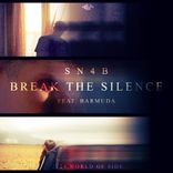 Artwork voor "Break the Silence"