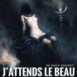 Artwork for "J' Attends Le Beau"