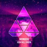 Artwork for "How Will I Know"