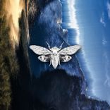 Artwork für "Distorted Reality"