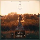 Artwork for "Ivolga"