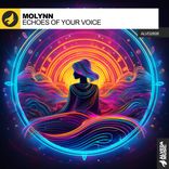 Echoes Of Your Voice