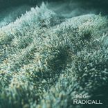 Artwork voor "1986 EP"