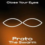 Artwork voor "The Swarm"