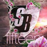 Artwork für "Stoney Boy Music - Fifteen"