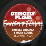 Artwork voor "Beautiful Days"