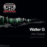 Artwork for "Afro Seeds"