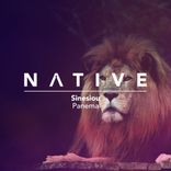 Artwork voor "Panema"