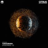 Artwork for "Spiderweb / IZI"