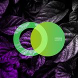 Artwork for "Sacrifice"