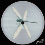 Artwork for "Basement"