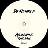 Artwork for "Aguanile"