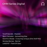 Artwork for "OHM Series 009"