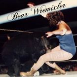 Bear Wrestler