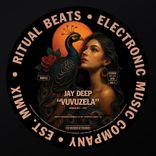 Artwork für "Vuvuzela"