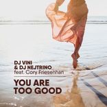 Artwork for "You Are Too Good"