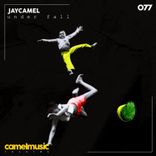 Artwork voor "Under Fall"