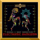 Artwork for "Electronic Sangoma"