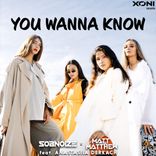 Artwork for "You Wanna Know"