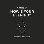 Artwork for "How's Your Evening?"