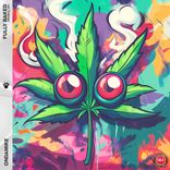 Artwork for "Fully Baked"