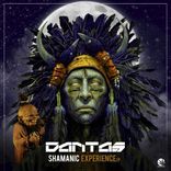 Artwork for "Shamanic"