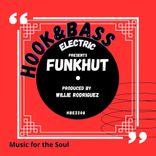 Artwork for "FunkHut"