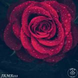 Portada para "Into You"