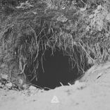 Artwork voor "Groundhog"