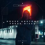 Artwork for "Freak Disco"