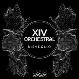 Artwork for "Risveglio"