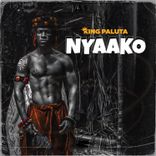 Artwork for "Nyakoo"