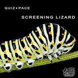 Screening Lizard