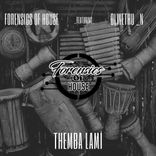 Artwork voor "Themba Lami"