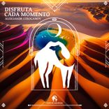 The Long Road in the Dunes