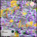 Artwork voor "Never Know"