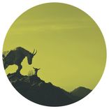 Still Hold Your Vision In My Mind