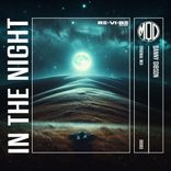 Artwork voor "In The Night"