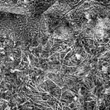 Portada para "History of Hidden Particles"