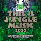 Artwork for "This Is Jungle Music 2020"