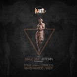 Artwork voor "Reborn the Remixes"