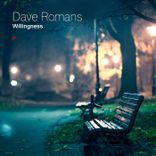 Artwork for "Willingness"