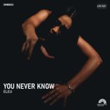 Artwork für "You Never Know"
