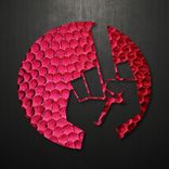 Artwork for "Equinox"