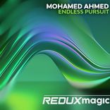 Artwork voor "Endless Pursuit"