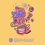 Artwork voor "Natural Calling (Mngrm Remix)"