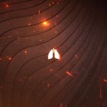 Artwork for "Echoes of the Unseen"