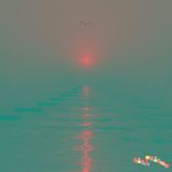 Artwork for "Suspended Animation"